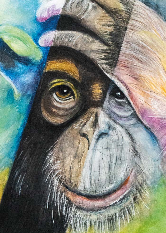 Espressobohnen CHARLIE der Kaffeerösterei BERGBRAND aus Nürnberg Cover des Kaffees Affe mit Hand an der Stirn