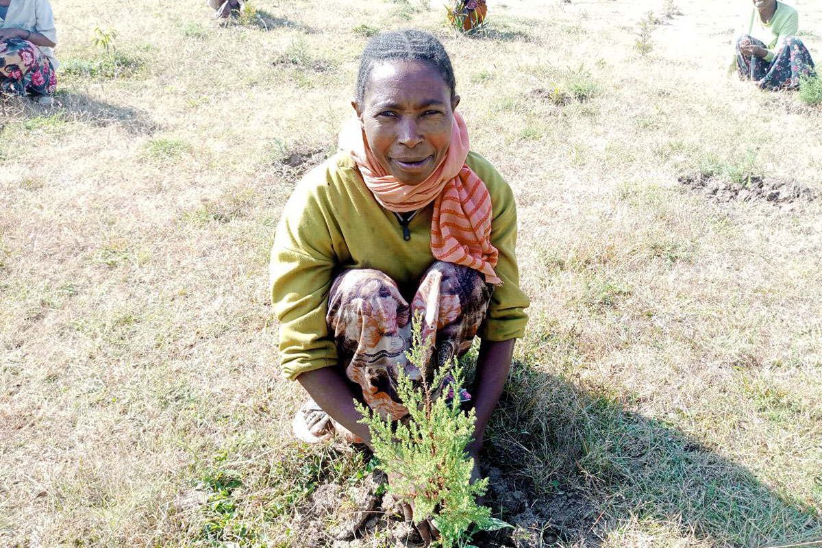 Eine dunkelhäutige Frau pflanzt einen Baum ein