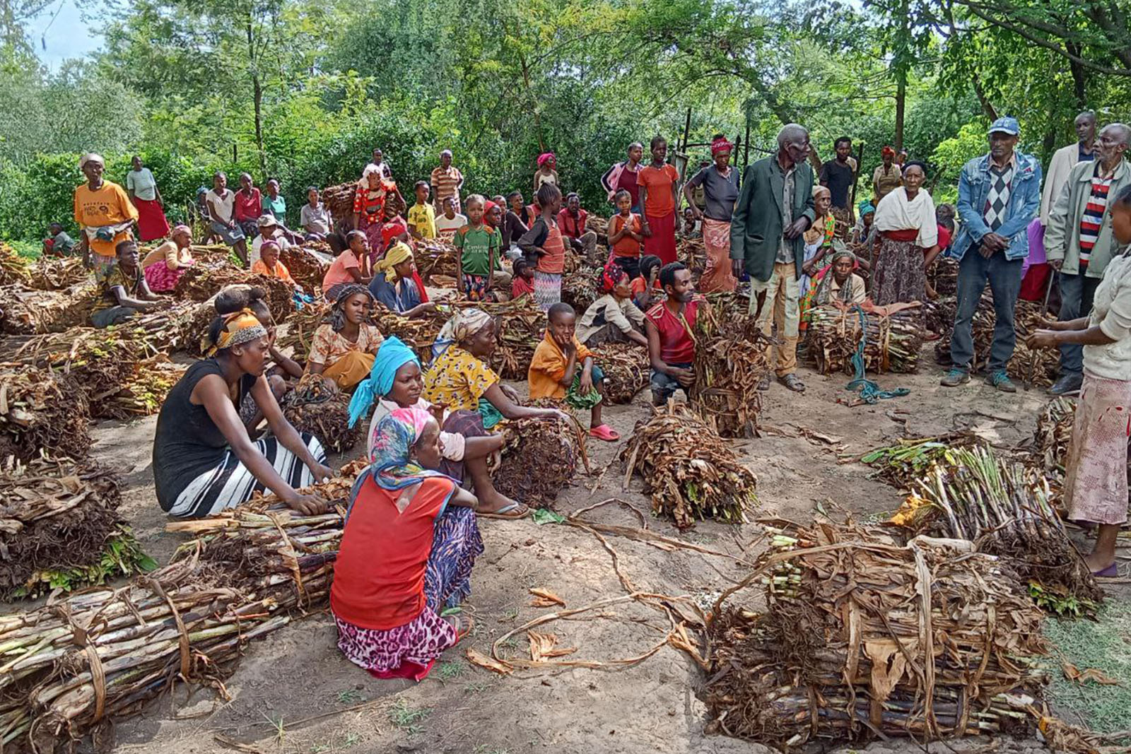 Eine Gruppe afrikanischer Menschen steht zusammen