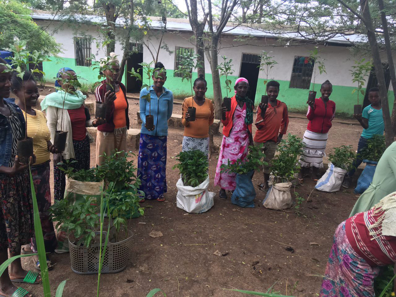 Eine Gruppe afrikanischer Frauen zeigt Kaffeepflanzen